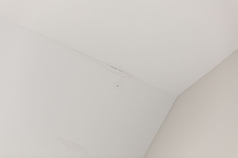 Water Damage Ceiling Repair in Alpharetta, GA