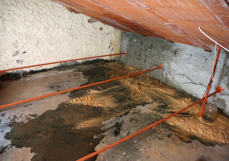 Attic Water Damage Repair in Santa Rosa, CA