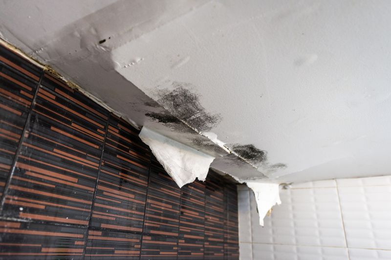 Bathroom Water Damage Repair in Alpharetta, GA