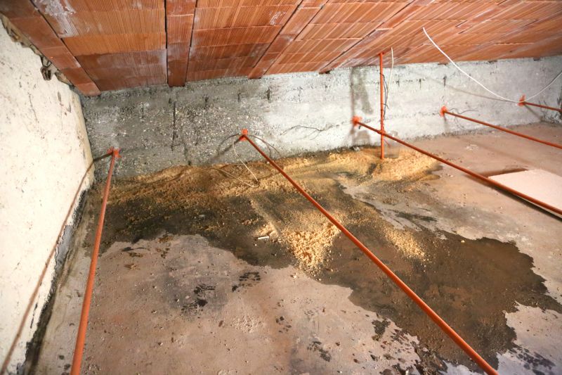 Crawl Space Remediation in Denver, CO